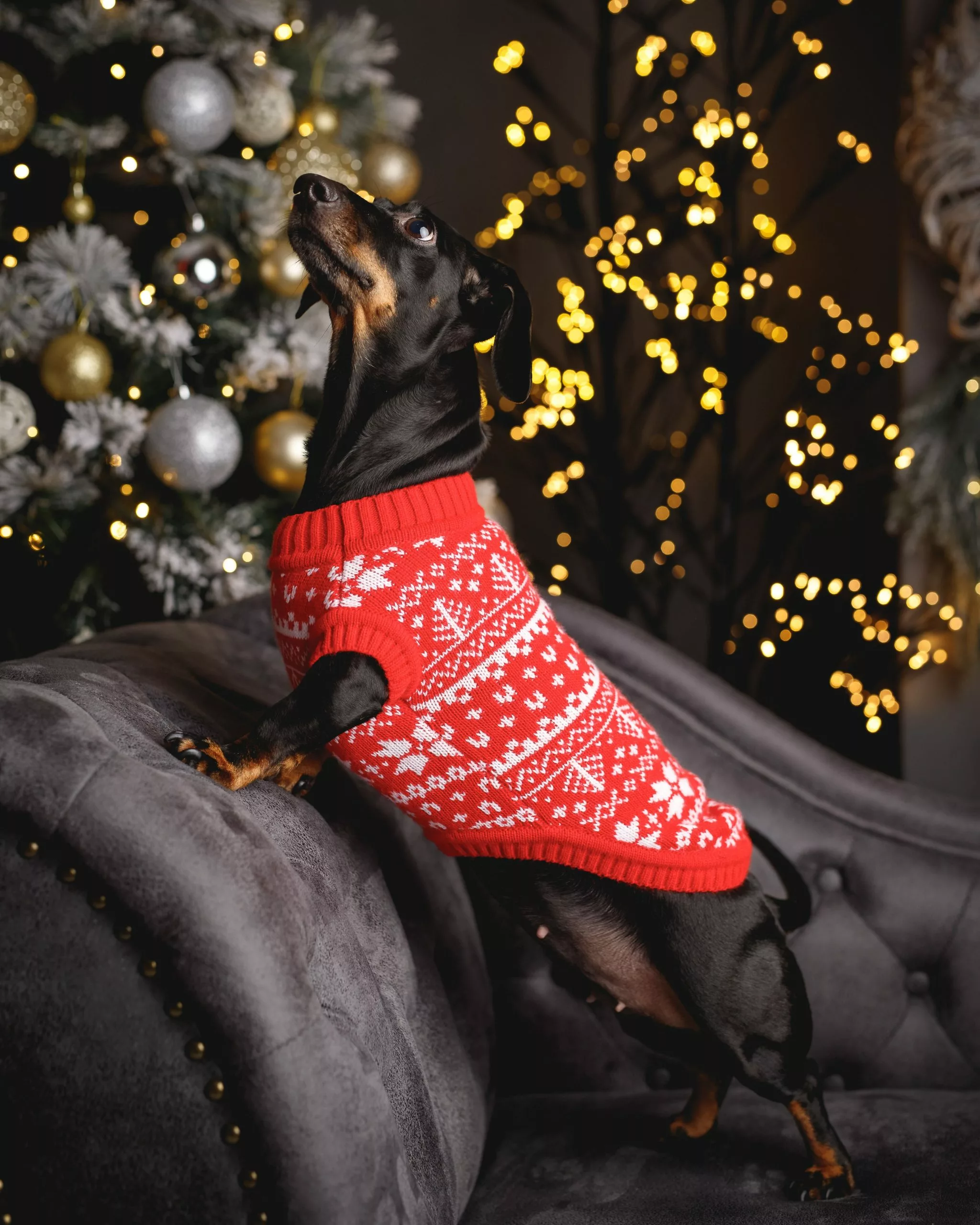 Beliani Samettinen Harmaa Divaani Vasenkätinen NIMES - Image 7